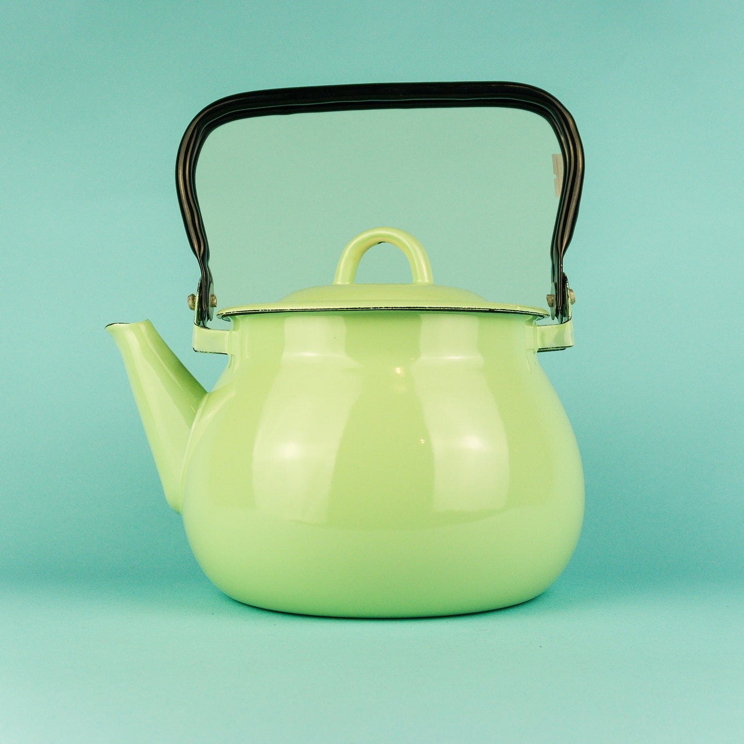 Large Enamel Stove Top Kettle Light Green