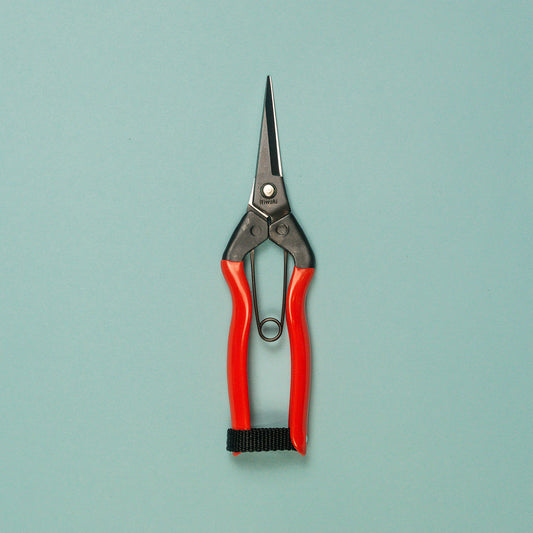 Niwaki Garden snips